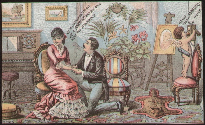 DomesticSewingMachine